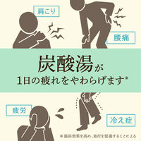 【数量限定】 入浴剤 クール 温泡 ONPO ボタニカル ナチュラルハーブ 無添加 1箱（12錠入）透明タイプ アース製薬