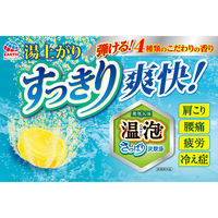 【数量限定】 入浴剤 クール 温泡 ONPO さっぱり炭酸湯 こだわり薄荷 4種アソート 1箱（12錠入）透明タイプ アース製薬