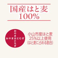 【機能性表示食品】伊藤園 はと麦茶 500ml 1セット（48本） お茶 ハトムギ茶 ノンカフェイン カフェインゼロ