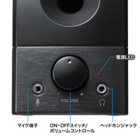 サンワサプライ USB電源スピーカー(実用最大出力6W) MM-SPL20UBK 1個