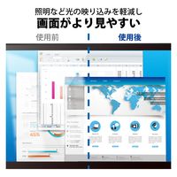 プライバシーフィルター のぞき見防止 抗菌 13.3Wインチ（16:10） EF-PFK133W10E エレコム 1個（直送品）