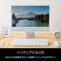 キーボード 有線 着脱式USBケーブル 茶軸 タクタイル テンキー付き ホワイト TK-MC50UKTWH エレコム 1個