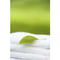 MIYOSHI　無添加 せっけん 泡のキッチンハンド ハンドソープ 本体 250ml×5本 ミヨシ石鹸　無香料