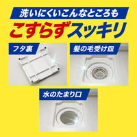 強力カビハイター 排水口スッキリ 大容量6袋入り 5個 花王