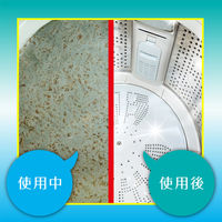 カビトルネード Neo 洗濯槽クリーナー 縦型用 無香料 5個 リベルタ