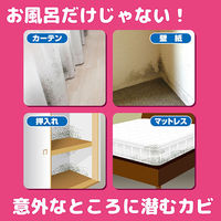 カーテンにカビがはえなくなるスプレー 防カビ 本体 300mL KINCHO キンチョー　5本