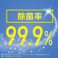 クルマのスッキーリ 車まるごと除菌・消臭 大型車用 スチームタイプ ほんのり香るクリーンムスクの香り 5個 アース製薬