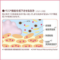 ミノン薬用ヘアシャンプー　詰替え　380ml　5個　第一三共ヘルスケア