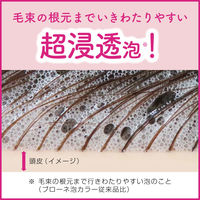 ブローネ 泡カラー 白髪染め １Ｎ　サンドベージュ 5個　花王