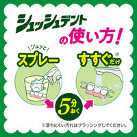 【入れ歯洗浄剤】 ディープクリーン シュッシュデント 本体 270ml 花王 入れ歯洗浄剤 5個