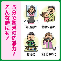 【入れ歯洗浄剤】 ディープクリーン シュッシュデント つめかえ用 215ml 花王 入れ歯洗浄剤 5個