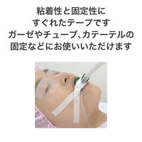 ニチバン シルクテープ 12mm×5m S125 1箱（1巻入）