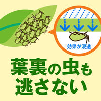 アースガーデン 野菜うまし 1000ml 5個 園芸用 殺虫剤 殺菌剤 アース製薬