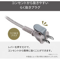 ヘアドライヤー プロフェッショナル プロテクトイオン ラク抜きプラグ ブラック NIB400A-K テスコム 1個