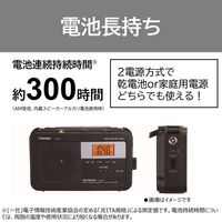 東芝 TY-SHR4（KM） 1台