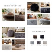 AQUA mofua　プレミアムマイクロファイバー　ラウンドクッション　グレー 50676I13 1個（直送品）