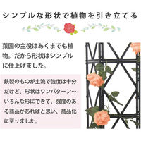 第一ビニール ローズトレリス 幅60cm×高さ150cm 4968438020266 1個