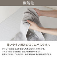 山内株式会社 スリムバスタオル 3枚セット 抗菌防臭 SBB-TT 1セット(3枚組) オリジナル