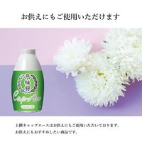月桂冠 上撰 キャップエース 180ml 5本 日本酒