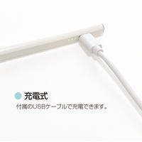 タッチペン iPad専用 充電式 ホワイト TPEN-001W 1個 ナカバヤシ