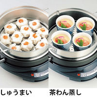 和平フレイズ レギュール2 グリルパン4点セット MJ-0723 1個（直送品）