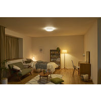 LEDシーリングライト 6畳 調光 調色 薄型 リモコン メモリ機能 SeriesL アイリスオーヤマ CEA-2306DL 1台