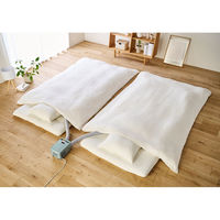 アイリスオーヤマ ふとん乾燥機 カラリエ Colors ツインノズル グリーン FK-RW2-G 1台