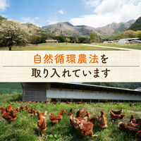 平飼いたまごのマヨネーズ 200g 3個 味の素