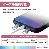 エレコム ストラップホールシート/2口タイプ/2枚入り/オーロラ P-STHD2ACR 1個