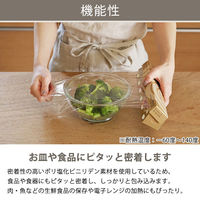 【アウトレット】ラップ ミニ 使って実感 PVDC素材でピタッとくっつく食品ラップ 22cm×55m 48本 オリジナル