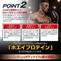 ALPRON WPC ストロベリー風味 900g 1個