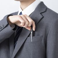 サンワサプライ グリーンレーザーポインター LP-G350N 1個