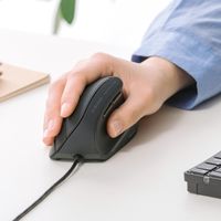 サンワサプライ 有線マウス 静音 5ボタン 大型 ブルーLED MA-ERGK9 1個