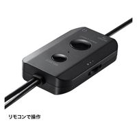 サンワサプライ 3WAY PCスピーカー(Bluetooth/USB/3.5mm接続対応) MM-SPBT6BK 1個