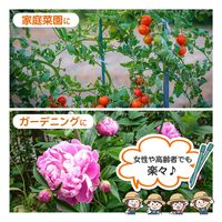 コモライフ 園芸支柱の差込ハンドル 390765 1個（直送品）