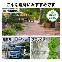 コモライフ すき間ふさいで雑草予防ヒビクサガード 391560 1個（直送品）