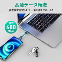 ライトニングケーブル 0.1m 持ち運び特化 USB（A）[オス] - Lightning[オス] CB-AKL6-BK 1個