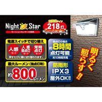 トレードワン ナイトスター218灯 1セット(2個) 30707（直送品）