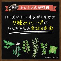 シーザー 犬 自然素材レシピ ターキー＆にんじん・いんげん 85g 7個 ドッグフード ウェット