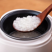 アルファックス・コイズミ 2合炊き ミニライスクッカー ARCーT2001/W 1台