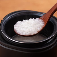 アルファックス・コイズミ 2合炊き ミニライスクッカー ARCーT2001/K 1台