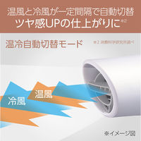 小泉成器 ダブルファンドライヤー KHDーW800/W 1台