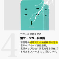 ファーゴ SATI COLOR AC4個口 USB オリーブ CT221OV 1個