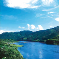 しまんと百笑かんぱに 【2箱セット】しまんとFurufuruドレッシング3本セット 23-0090-010 1セット(2箱)（直送品）