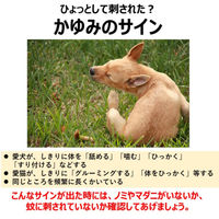 ペット用 アース渦巻AC 48巻函 1箱 蚊とり線香 アース・ペット