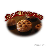 銀のスプーン 三ツ星グルメ お魚味クリーム 10歳 国産 180g（18g×10袋）3個 キャットフード ドライ