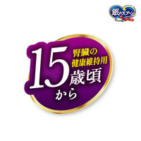 銀のスプーン国産生かつおin 15歳頃から 1.0kg（小分けパック3袋入）1袋 キャットフード 猫 ドライ