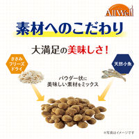 オールウェル 成猫の腎臓の健康維持用 フィッシュ味 国産 2.4kg（小分け 480g×5袋）1袋 キャットフード 猫 ドライ