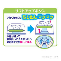 デオクリーン 犬猫用 純水99%ウェットティッシュ 本体 70枚 3個