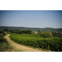 【サクラワインアワード ゴールド】イタリア パスクァ ビアンコ ヴェネト 白ワイン やや辛口 750ml 1本 国分